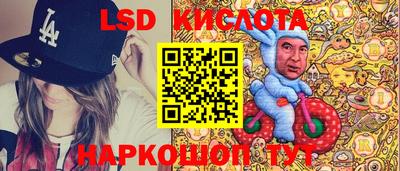 прущие грибы Кингисепп