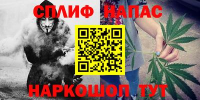 гашик Кимры