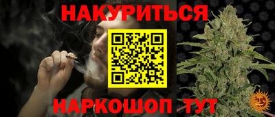 прущие грибы Кингисепп
