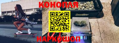 гашик Кимры