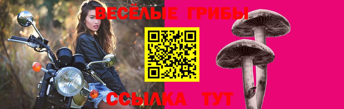 Галлюциногенные грибы мухоморы  Вход с VPN  Усинск 
